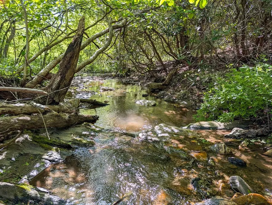 1618 Squirrel Creek Road, Ararat, VA 24053 - #3