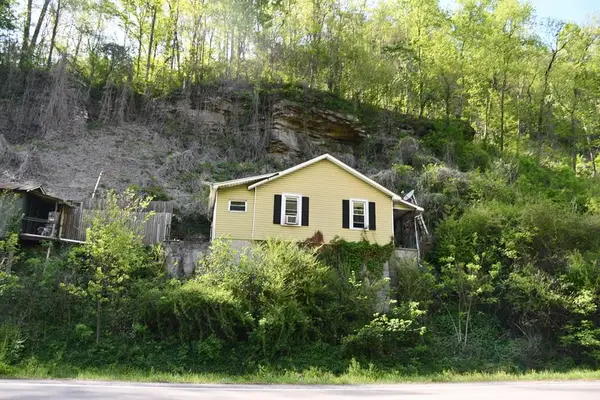 13162 Riverside Dr, Oakwood, VA 24631