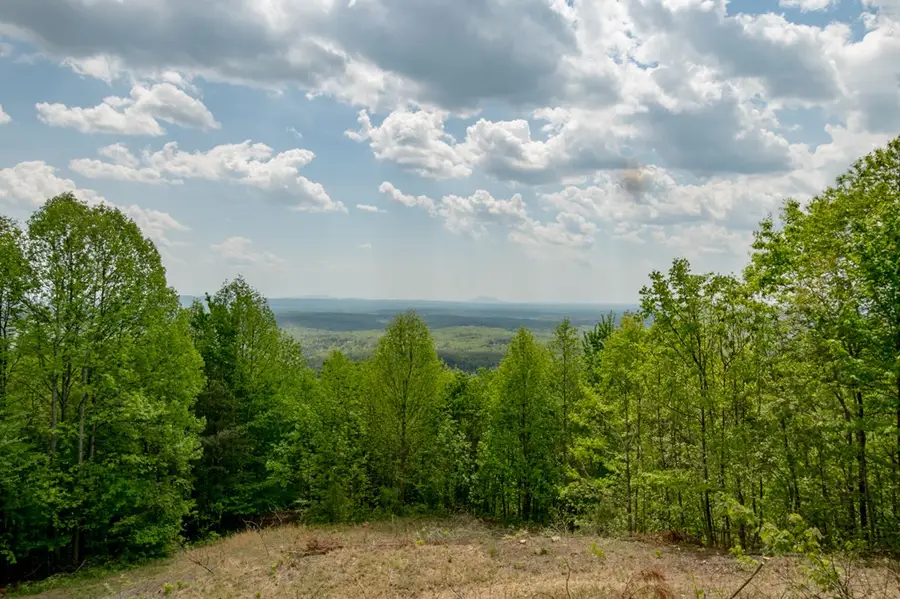 2 Lots Spring Valley Rd, Fancy Gap, VA 24328 - #2