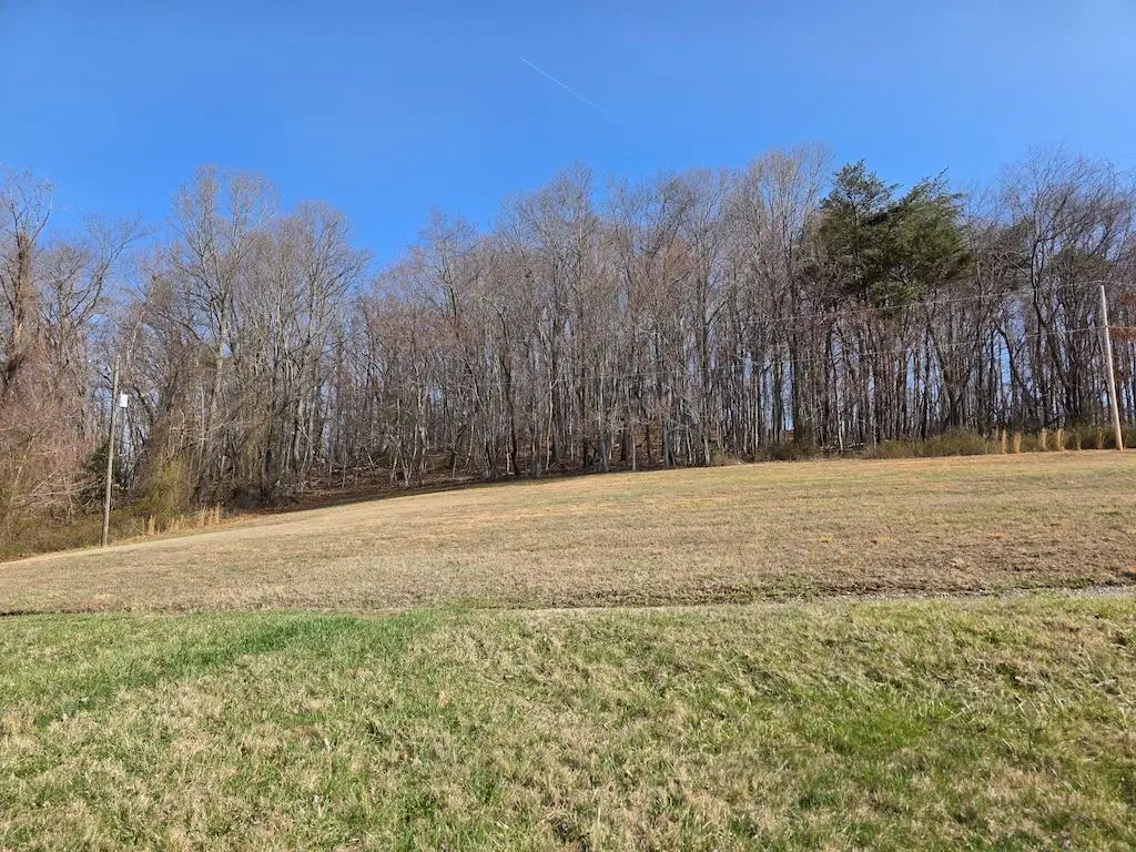 TBD Waterworks Rd, Radford, VA 24141 - #1