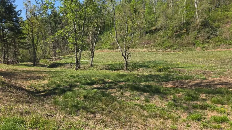 TBD Tilley Lane, Fancy Gap, VA 24328 - #2