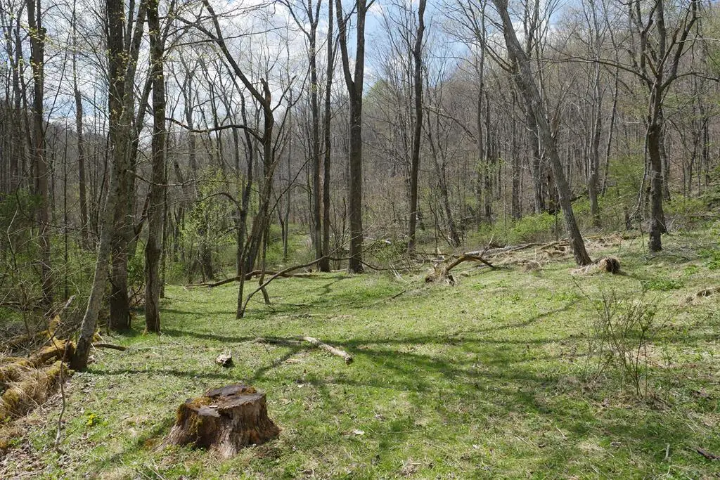 TBD Unity Road, Bluefield, VA 24605 - #1