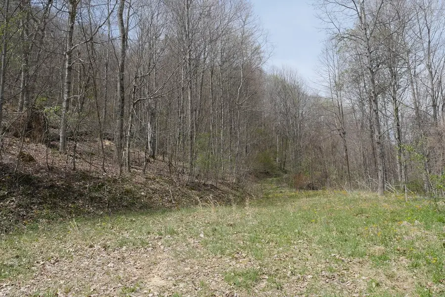 TBD Unity Road, Bluefield, VA 24605 - #2
