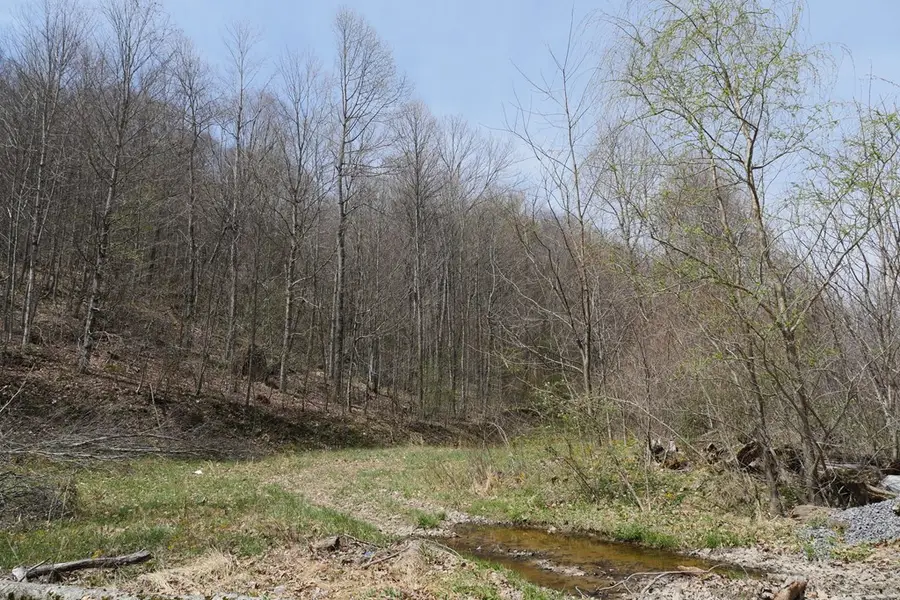 TBD Unity Road, Bluefield, VA 24605 - #3