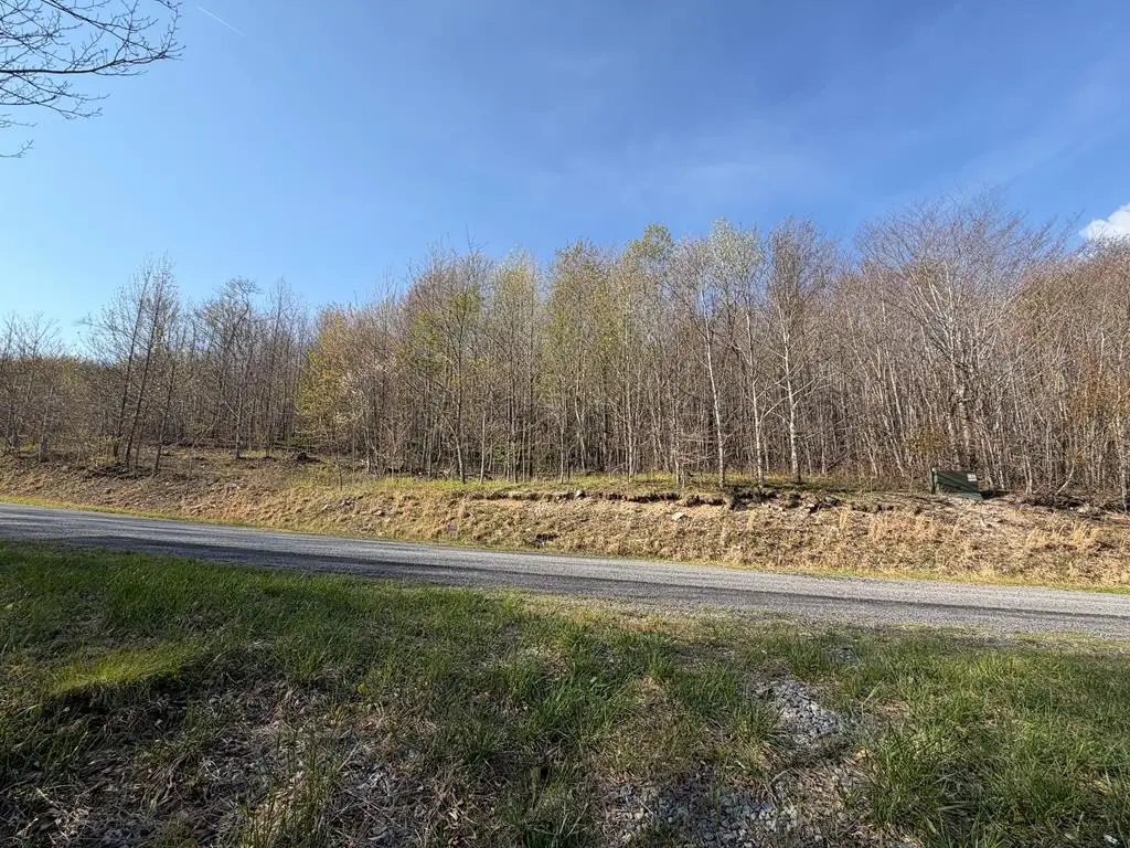 TBD Holiday Lane, Whitetop, VA 24292 - #1