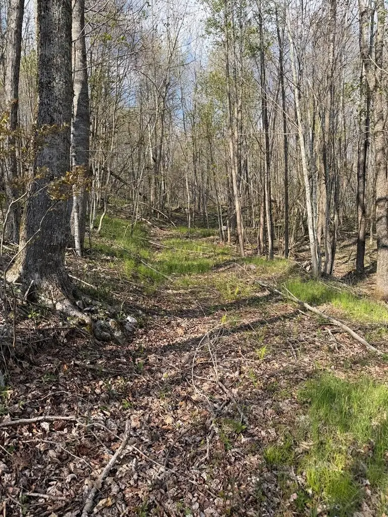 TBD Holiday Lane, Whitetop, VA 24292 - #2