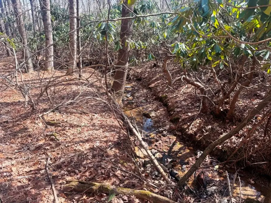 Lot 12 Chances Creek Rd, Fancy Gap, VA 24328 - #3