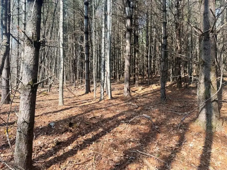 Lot 13 Chances Creek Rd, Fancy Gap, VA 24328 - #2