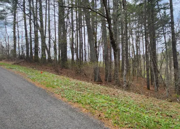 Lot 28 Manor House Dr, Laurel Fork, VA 24352