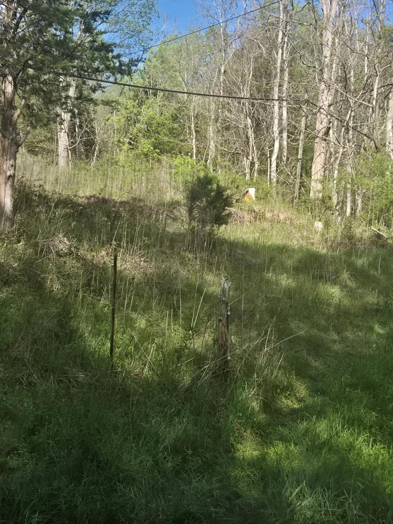 TBD Huddle Rd., Ivanhoe, VA 24350 - #1