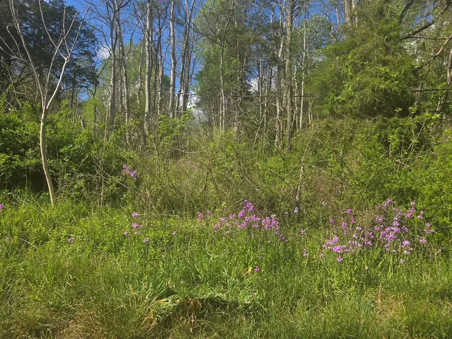 TBD Huddle Rd., Ivanhoe, VA 24350 - #3