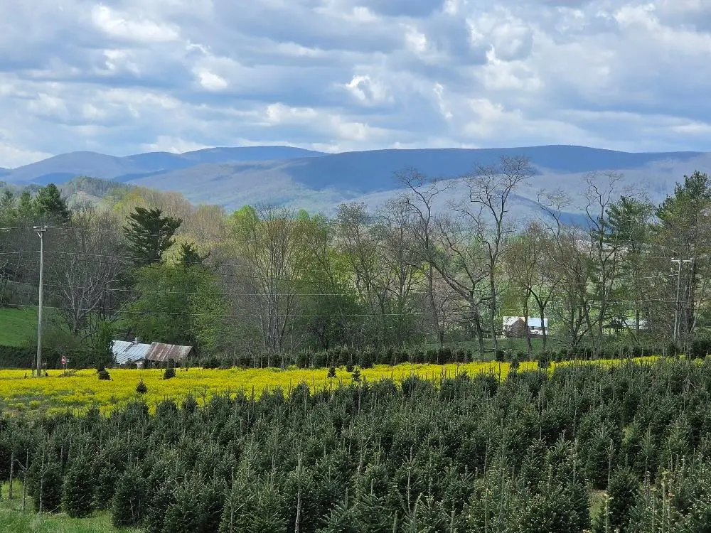 TBD Rabbit Fork Rd, Troutdale, VA 24378 - #1