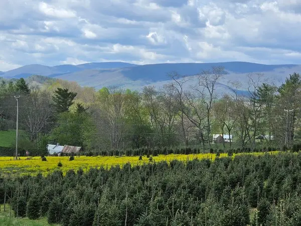 TBD Rabbit Fork Rd, Troutdale, VA 24378