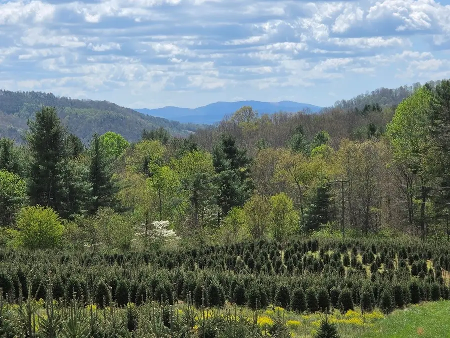 TBD Rabbit Fork Rd, Troutdale, VA 24378 - #2
