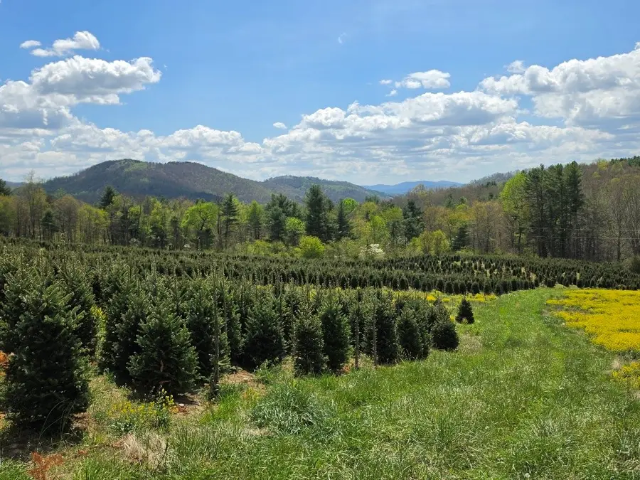 TBD Rabbit Fork Rd, Troutdale, VA 24378 - #3