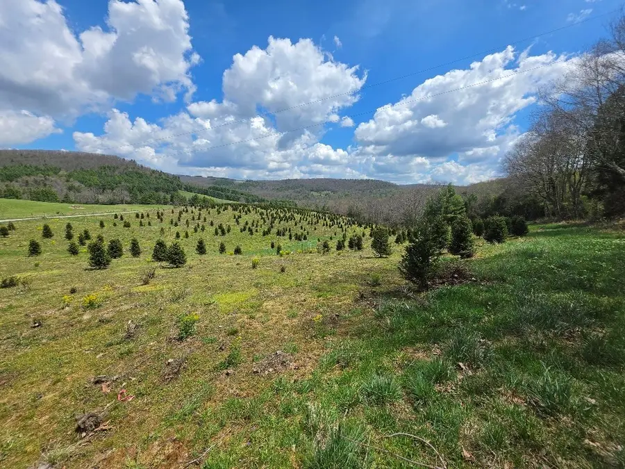 TBD Cornflower Rd, Troutdale, VA 24378 - #2