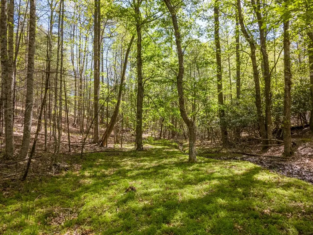 Lot 11 Ridge Line Trail, Independence, VA 24348 - #1