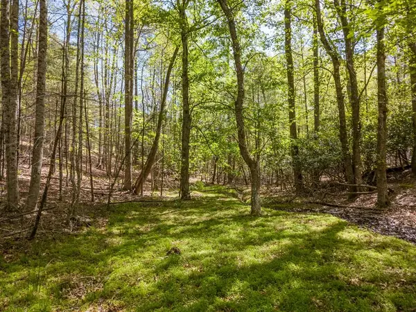 Lot 11 Ridge Line Trail, Independence, VA 24348