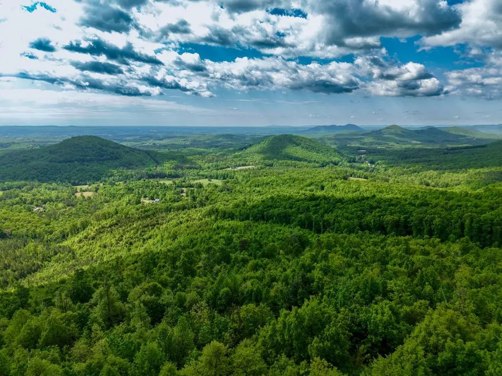 337 Goat House Rd, Lambsburg, VA 24351 - #1