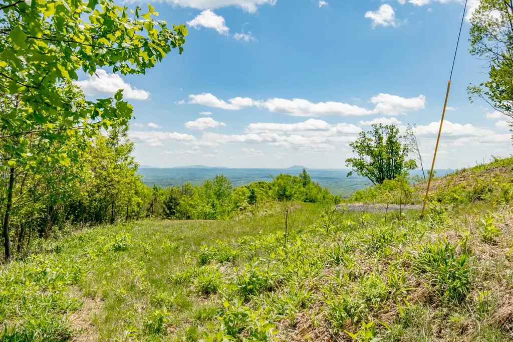 Lot 83 Spring Pond Trl, Fancy Gap, VA 24328 - #1
