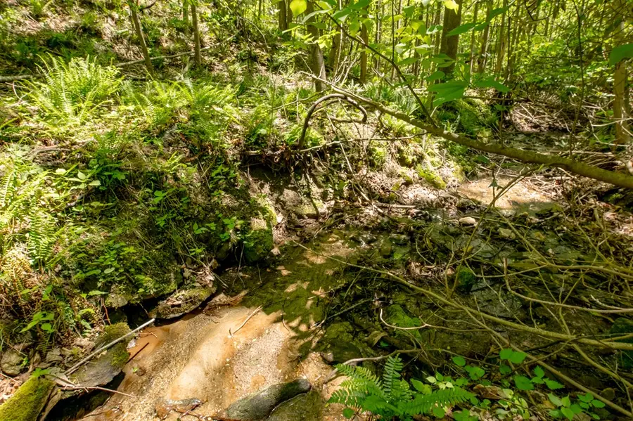 Lot 83 Spring Pond Trl, Fancy Gap, VA 24328 - #3