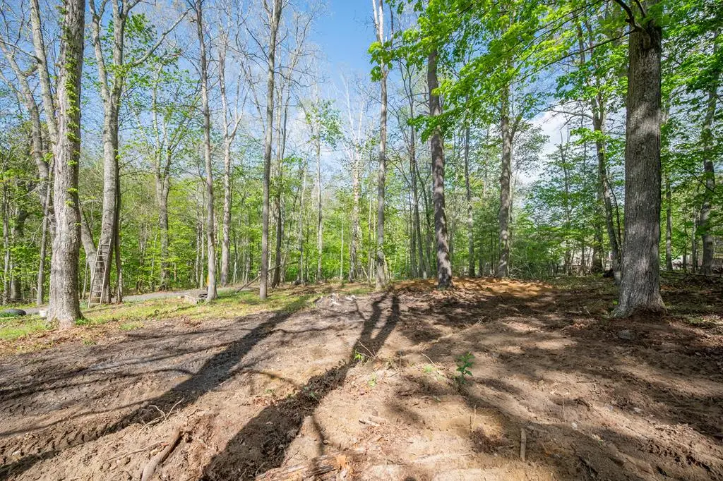 3826 Scenic Highway, Bland, VA 24315 - #1