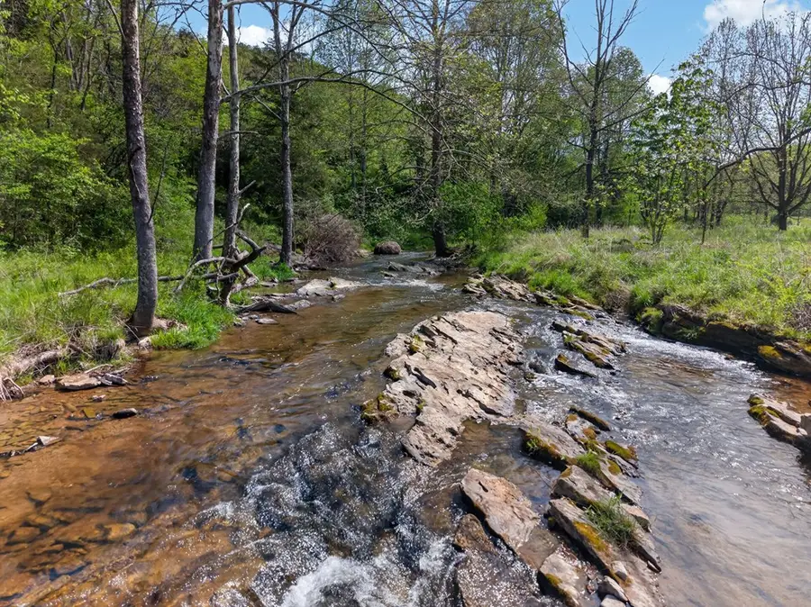1366 Sunset River Rd., Ceres, VA 24318 - #3