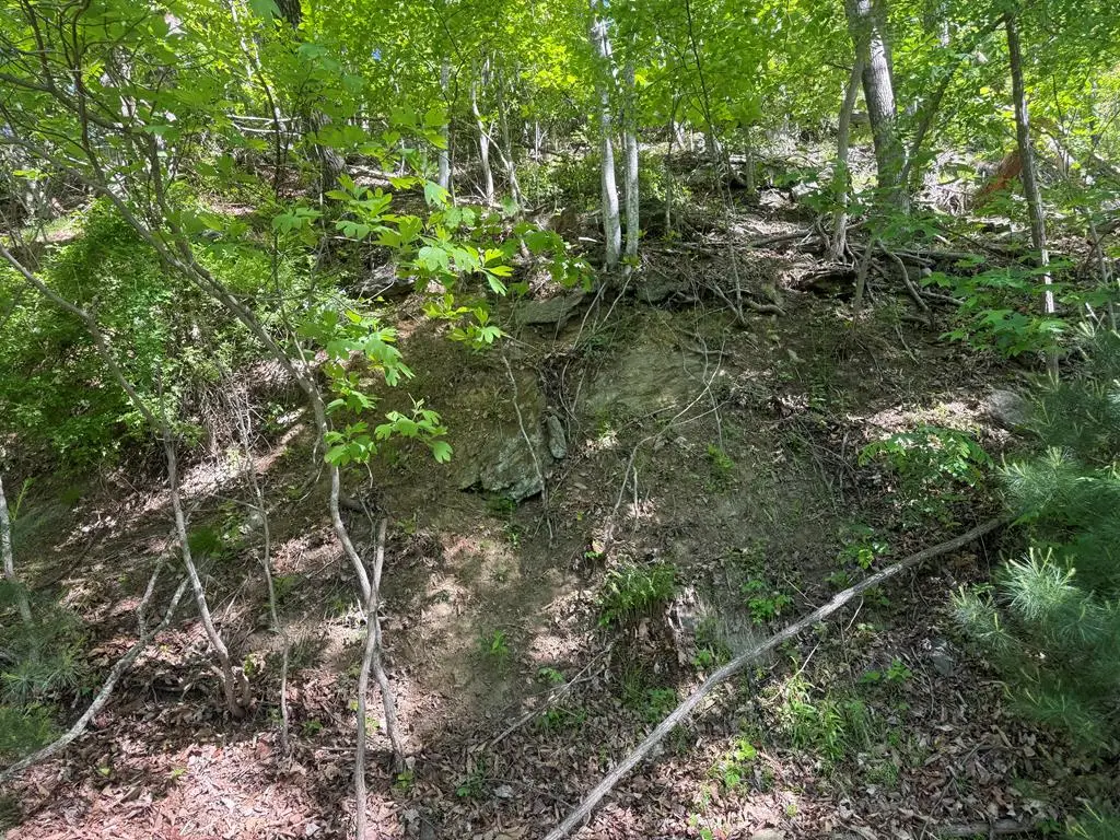 TBD Old Wagon Trail, Fancy Gap, VA 24328 - #1