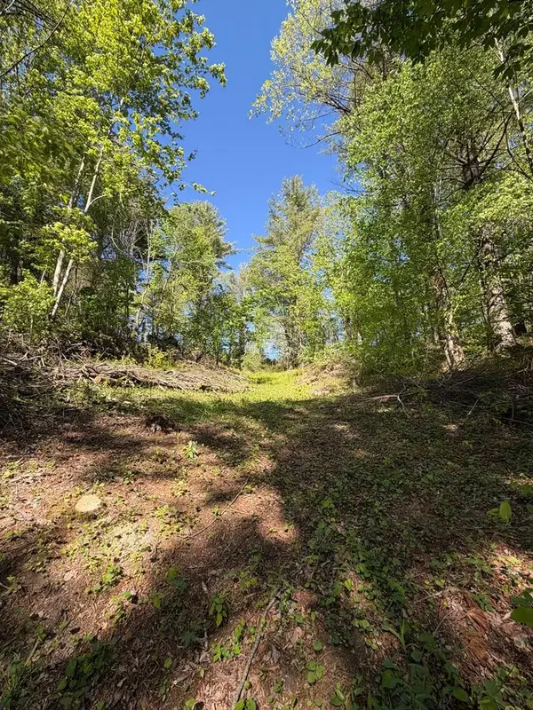 TBD Jeb Stuart Hwy, Damascus, VA 244236