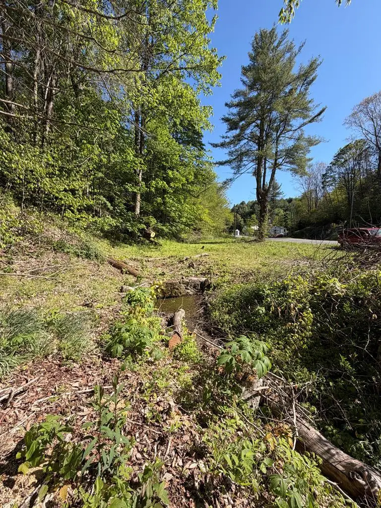 TBD Jeb Stuart Hwy, Taylor, VA 244236 - #2