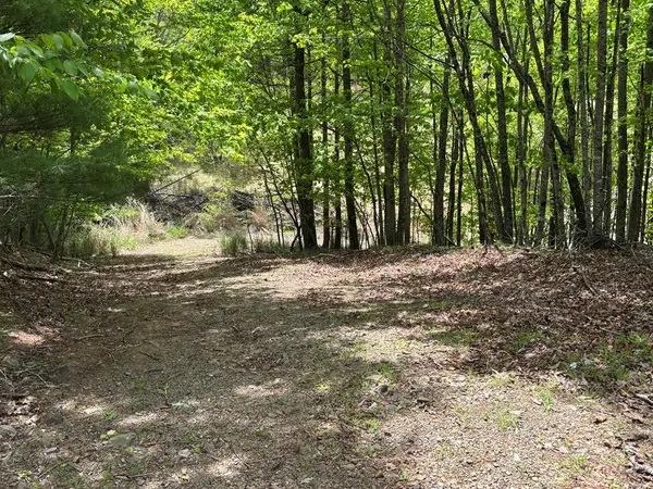 389 Live Oak Lane, Galax, VA 24333