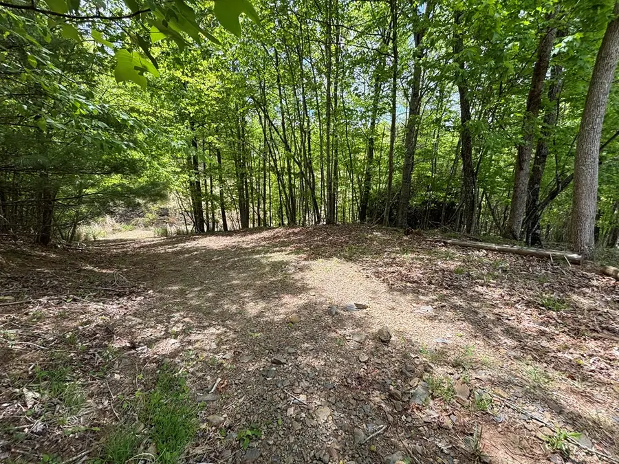 389 Live Oak Lane, Galax, VA 24333 - #2