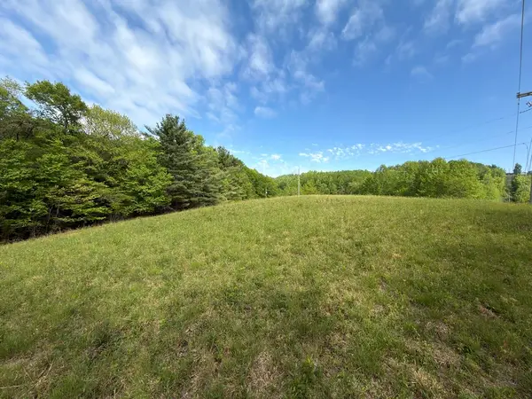 TBD Wards Gap Road, Fancy Gap, VA 24328