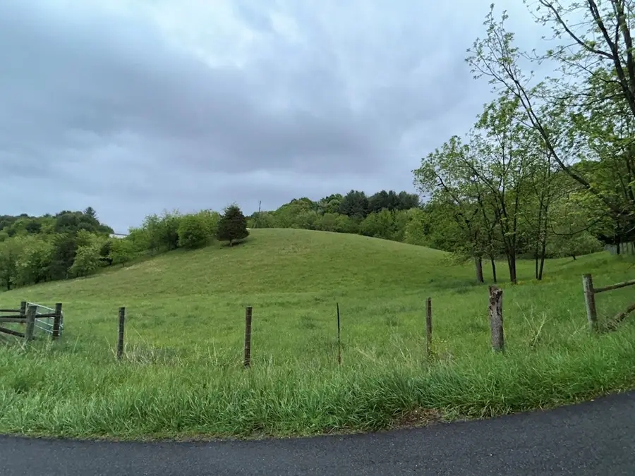 654 Spraker Rd, Crockett, VA 24323 - #3