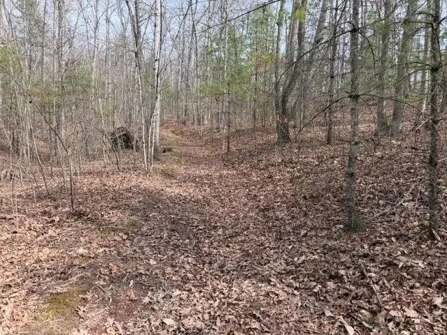 976 Walton Furnace Road, Max Meadows, VA 24360 - #3