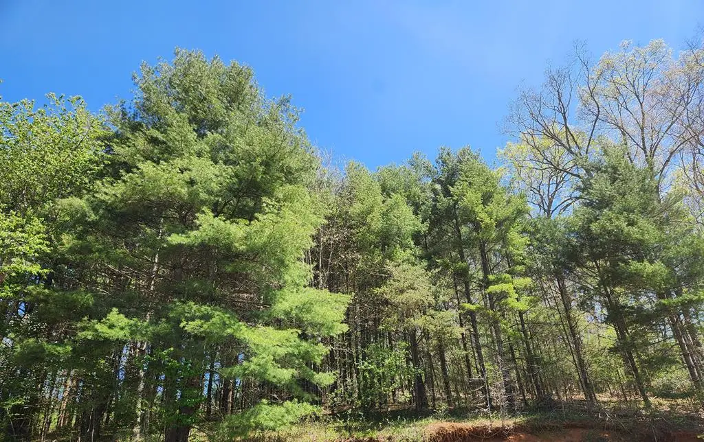 46 Silverleaf Road, Hillsville, VA 24343 - #1