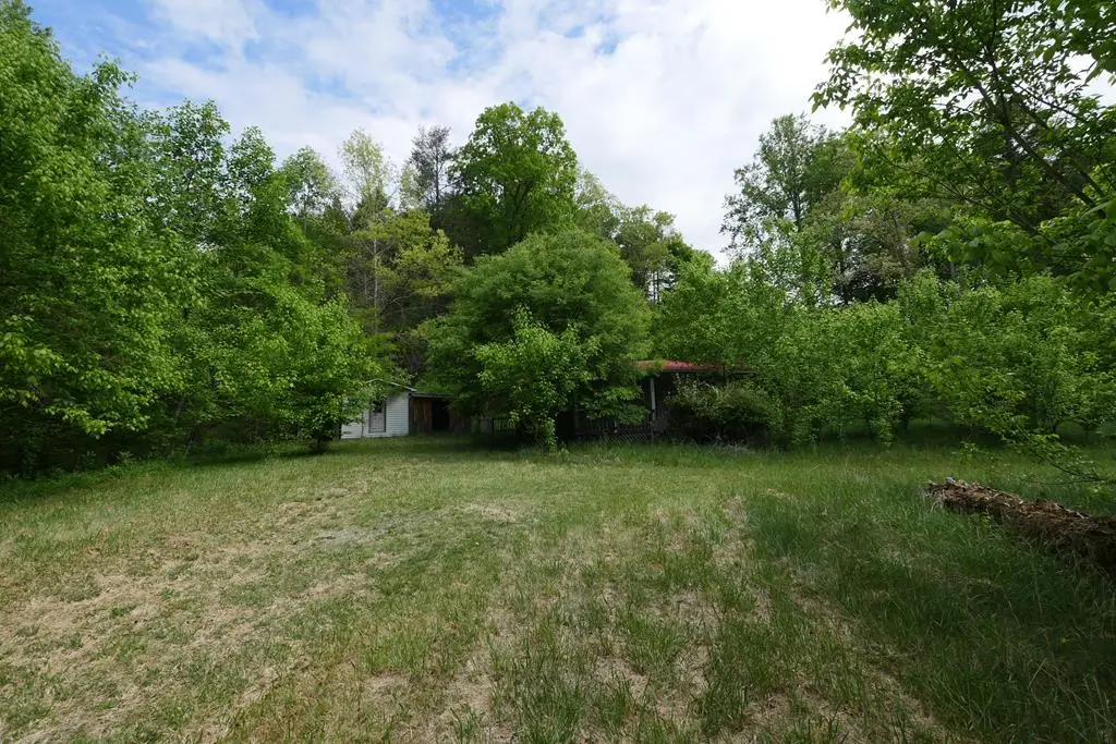 265 Still Hse Hollow Road, Saltville, VA 24370 - #1