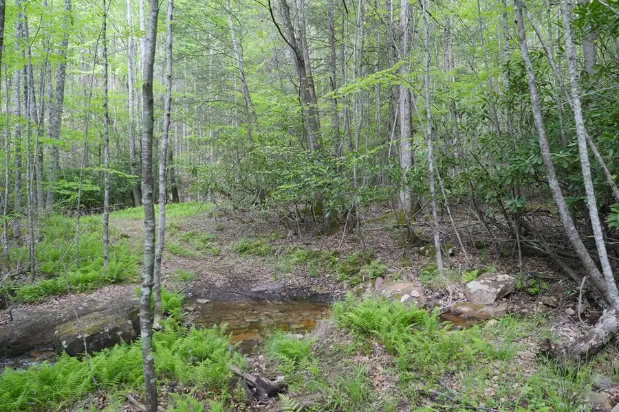 265 Still Hse Hollow Road, Saltville, VA 24370 - #3