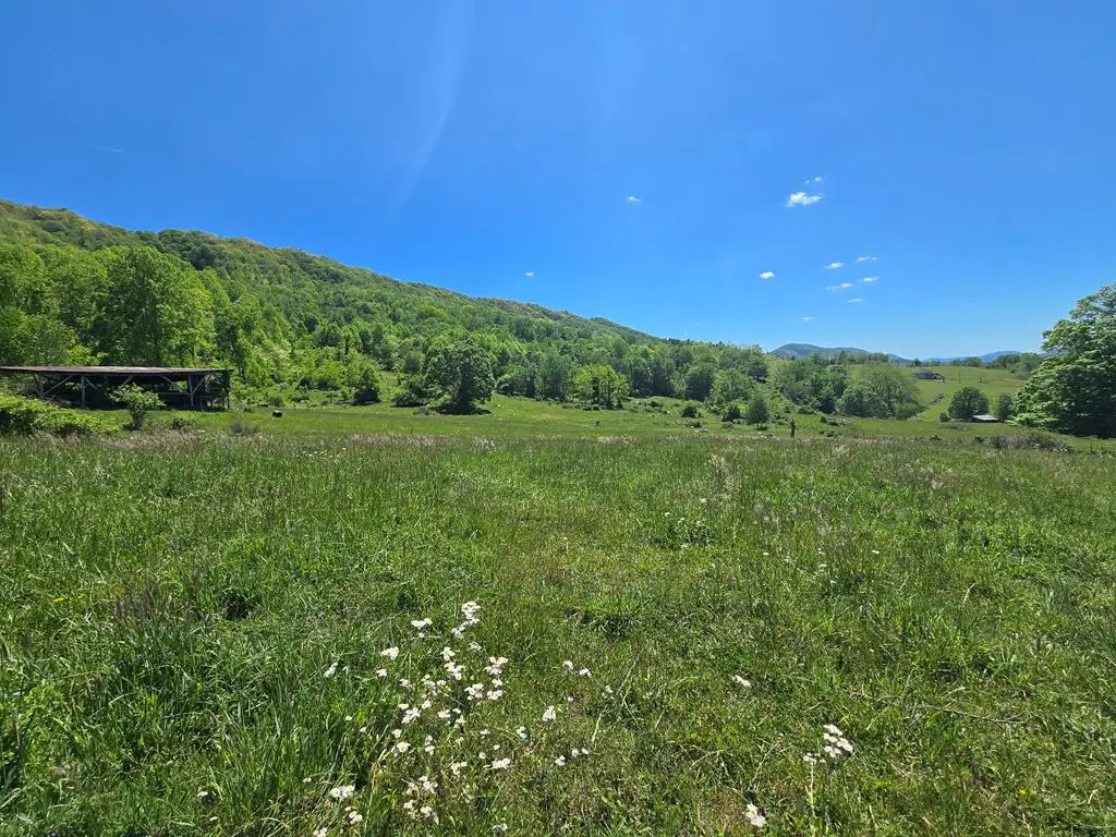 TBD Crystal Brook Lane, Tazewell, VA 24651 - #1
