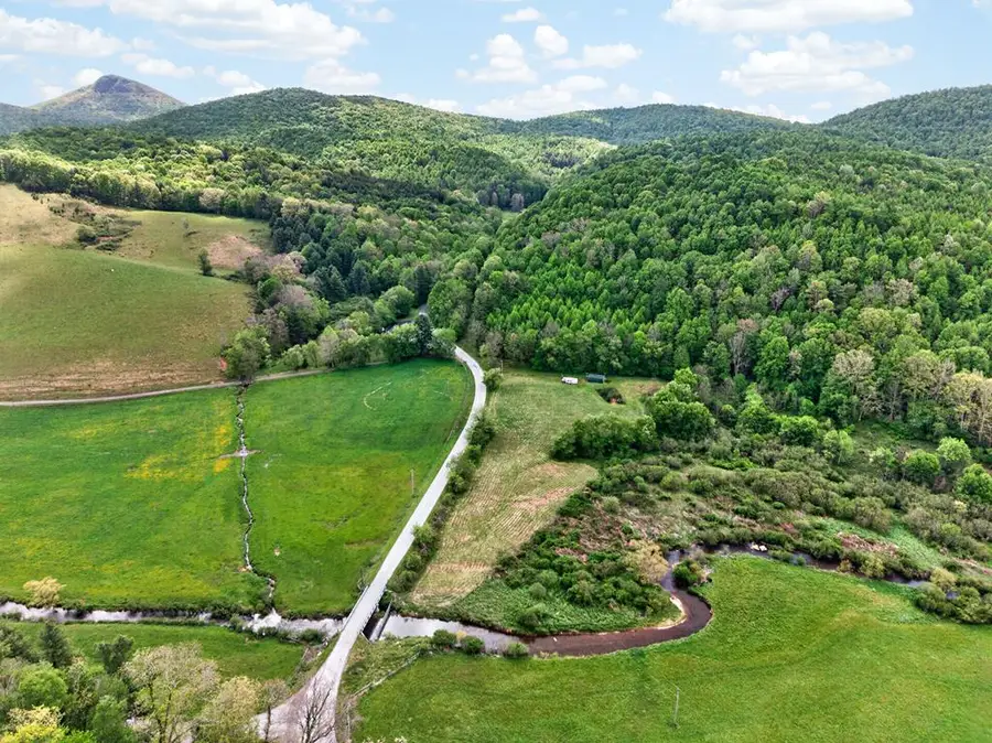 1866 Buffalo Mountain Rd, Willis, VA 24380 - #3