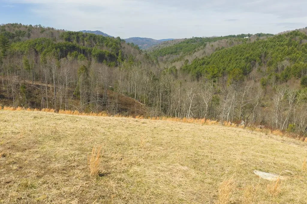 TBD Carsonville Rd, Independence, VA 24348 - #1