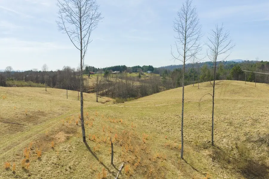 TBD Carsonville Rd, Independence, VA 24348 - #2