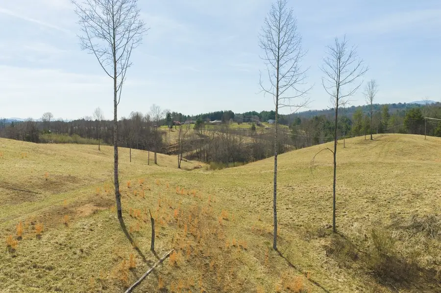 TBD Carsonville Rd, Independence, VA 24348 - #3