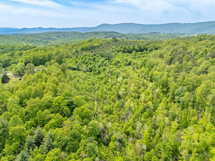 TBD Ahart Ridge RD, Ararat, VA 24053 - #3