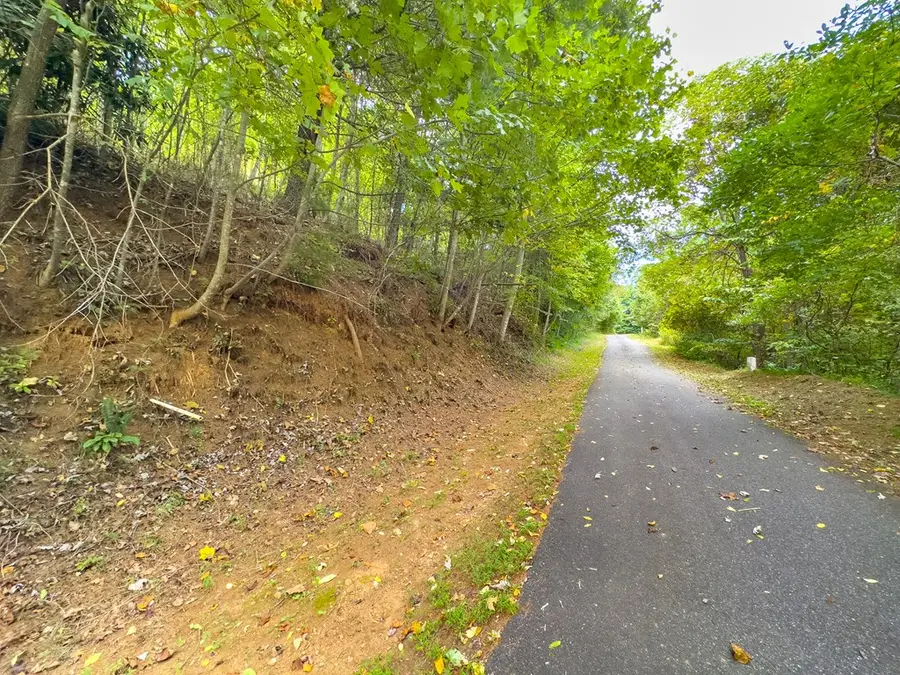 15 Lots Covered Bridge Trl, Fancy Gap, VA 24328 - #3