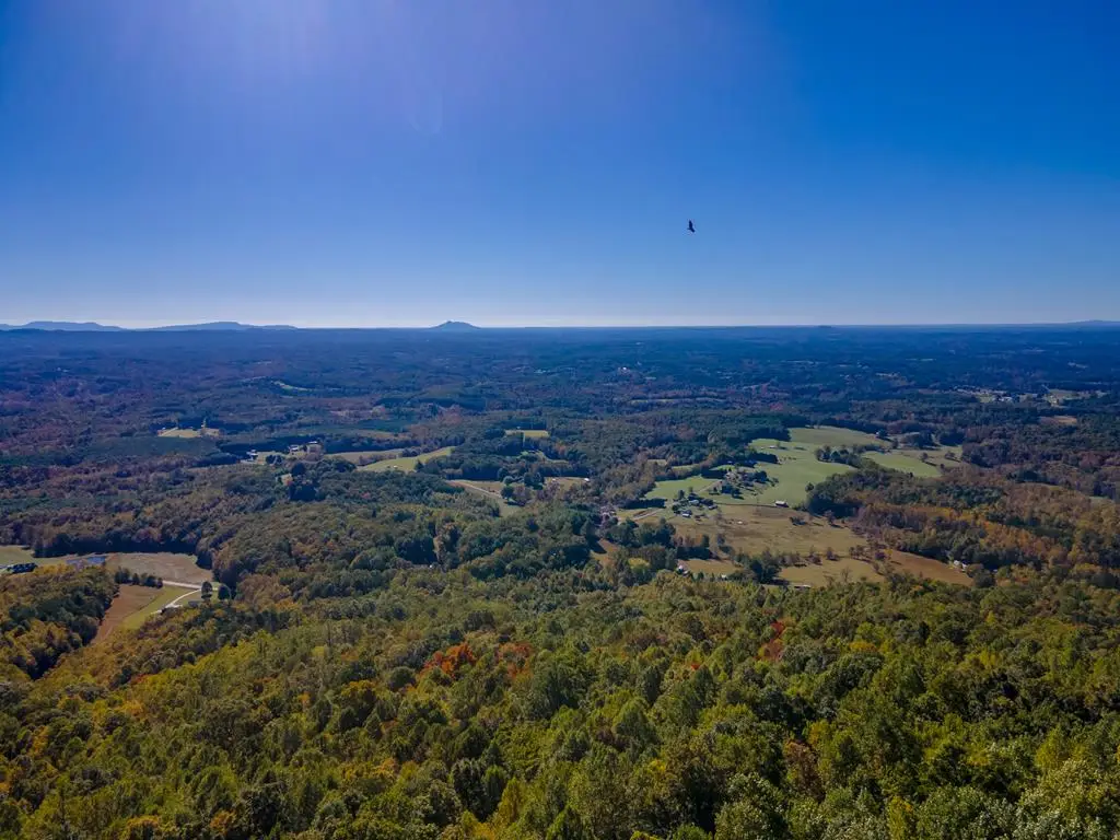 Lot 94 Reflections Point Trl, Fancy Gap, VA 24328 - #1