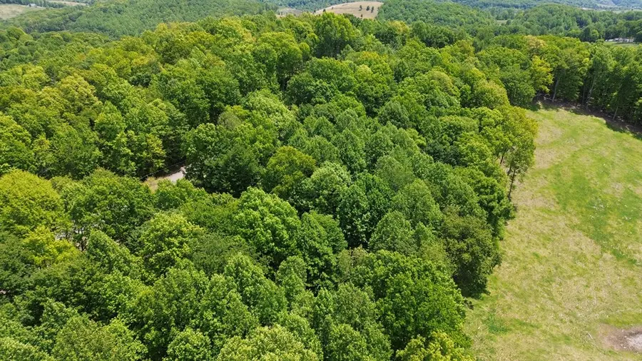 TBD Glenview Ln, Lebanon, VA 24266 - #2