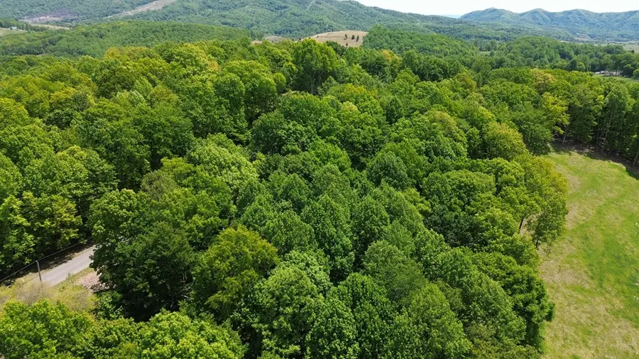 TBD Glenview Ln, Lebanon, VA 24266 - #3