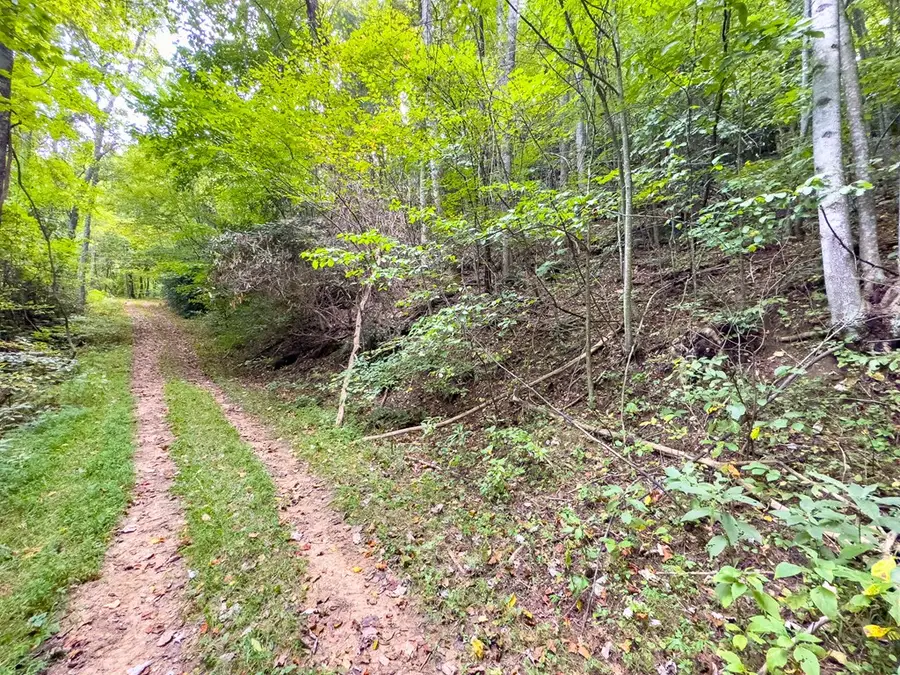 260&209 Covered Bridge Trl, Fancy Gap, VA 24328 - #2