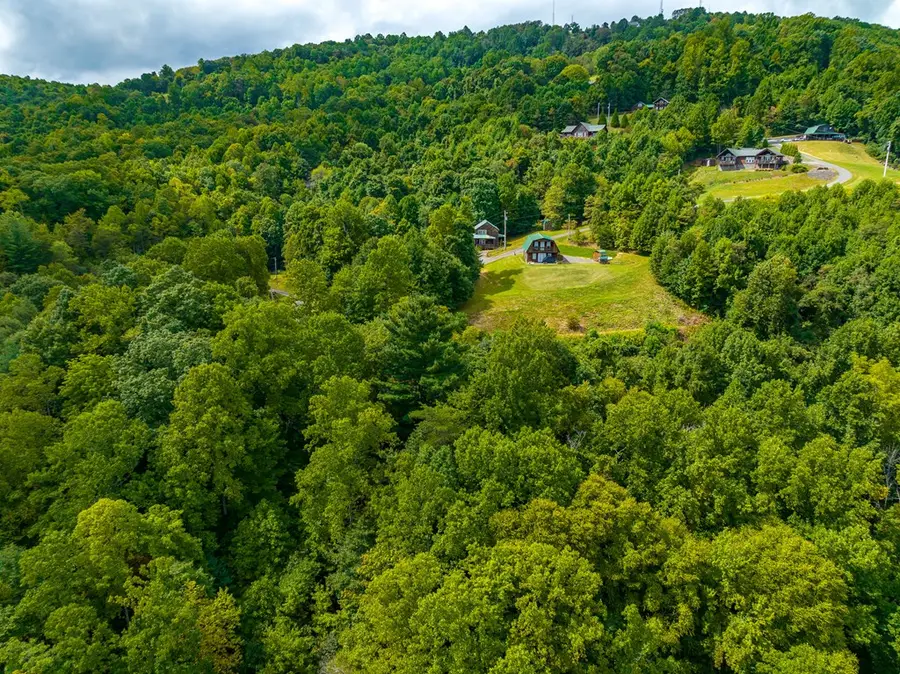 261&210 Covered Bridge Trl, Fancy Gap, VA 24328 - #3